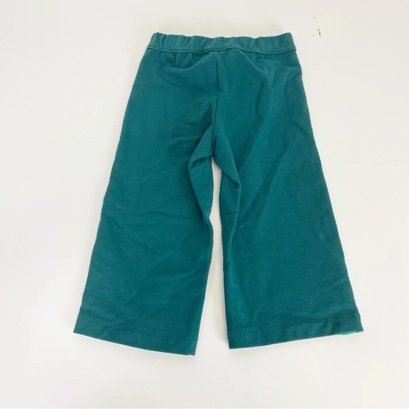 Janie and Jack Pants Toddler Girls Size 3 Green Sweatpants Side Stripe - Picture 2 of 3